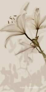 Керамическая плитка для стены Gardenia Orchidea Gioia  Decoro Lilium (6pz) ZZ60x120 PF09651