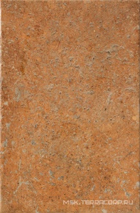Керамогранит для пола и стены CIR Cotto Del Campiano  Giallo Umbria 40x60.8 1080367