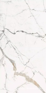 Керамогранит для пола и стены Florim Magnum Les Origines Les Origines Or Glossy 120x240 769970