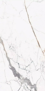 Керамогранит для пола и стены Florim Magnum Les Origines Les Origines Or Glossy 120x240 769970