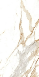 Medici Gold Natural |80x160