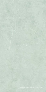 Керамогранит для пола и стены Benadresa Tessino  Smoke Pulido 60x120 n140448