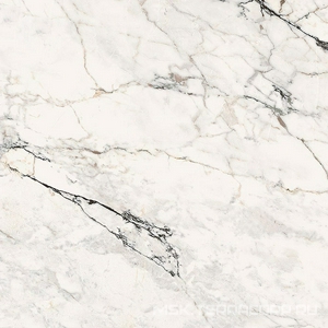 Керамогранит для пола и стены La Faenza Aesthetica AE PAO6 120 RM (п.п.)ZZ 120x120 179392