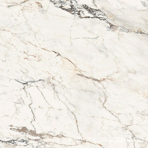 Керамогранит для пола и стены La Faenza Aesthetica AE PAO6 120 RM (п.п.)ZZ 120x120 179392