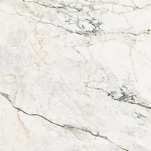 Керамогранит для пола и стены La Faenza Aesthetica AE PAO6 120 RM (п.п.)ZZ 120x120 179392