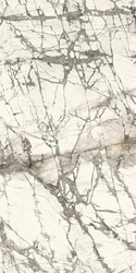 Imperial Grey Lucidato (Shiny) 6 mm XX|150x300