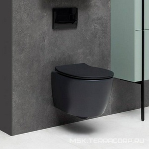 Унитаз подвесной 510х363мм, безободковый, без сиденья, (цв.черный матовый),  ZZ Allen Brau Fantasy 4.11004.31