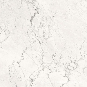 Керамогранит для пола и стены La Faenza Aesthetica AE CAL6 120 RM (п.п.)ZZ 120x120 179393