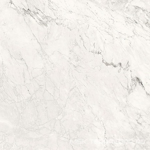 Керамогранит для пола и стены La Faenza Aesthetica AE CAL6 120 RM (п.п.)ZZ 120x120 179393