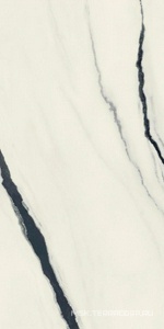 Керамогранит для пола и стены AtlasConcorde Россия FORTE DEI MARMI F.d.M. Panda White Rett 60x120 Cer/Ф.Д.М.  Панда Вайт Рет 60Х120 Чер 610015000656