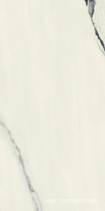 Керамогранит для пола и стены AtlasConcorde Россия FORTE DEI MARMI F.d.M. Panda White Rett 60x120 Cer/Ф.Д.М.  Панда Вайт Рет 60Х120 Чер 610015000656