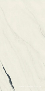 Керамогранит для пола и стены AtlasConcorde Россия FORTE DEI MARMI F.d.M. Panda White Rett 60x120 Cer/Ф.Д.М.  Панда Вайт Рет 60Х120 Чер 610015000656