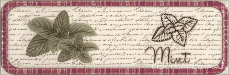 Decor Clasical Herbs Mint KL |10x30
