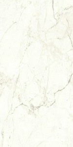 Керамогранит для пола и стены Atlas Concorde Italy Marvel Shine Marvel Calacatta Prestigio Matt 60x120 A4QX