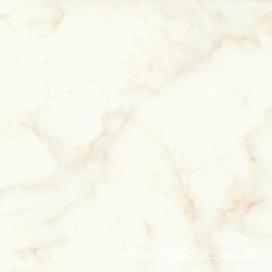 Marvel Calacatta Delicato Lappato 75x75 XX