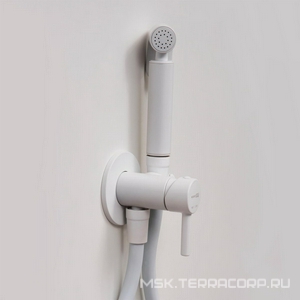 Встраиваемый смеситель для душа с гигиенической лейкой, внутреняя часть в комп, цв. белый  ZZ Wasserkraft elbe A70538