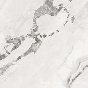 Керамогранит для пола и стены AtlasConcorde Россия FORTE DEI MARMI QUARK F.d.M.Quark Oyster Wh. Rett 80x80/Ф.Д.М.Кварк Ойстер Ва. Рет 80Х80 610010002966