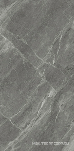 Керамогранит для пола и стены WIFI Ceramics Marble Grey  Glos.60x120 PY126907