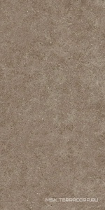 Керамогранит для пола и стены Atlas Concorde Italy Boost Stone  Taupe 60x120  A6Q6