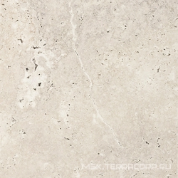 Heritage Ivory 20x20