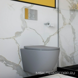 Клавиша двойного смыва для инстал., д/унитаза, (пластик цв.хром),  Aqueduto Circulo CIR0100