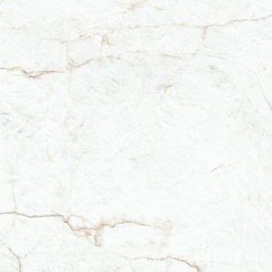 Керамогранит для пола и стены Pamesa Crystal White  leviglass 120x120 Rec. 004.120.0001.11484