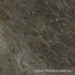 Керамогранит для пола и стены La Faenza Aesthetica AE GOL6 120 LP ( п.п.)120x120 182576