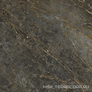 Керамогранит для пола и стены La Faenza Aesthetica AE GOL6 120 LP ( п.п.)120x120 182576