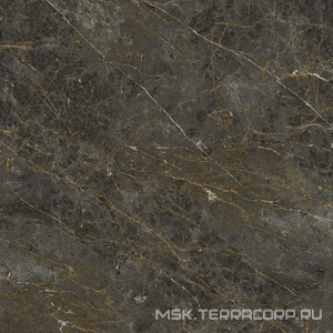 Керамогранит для пола и стены La Faenza Aesthetica AE GOL6 120 LP ( п.п.)120x120 182576