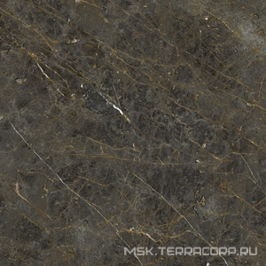 Керамогранит для пола и стены La Faenza Aesthetica AE GOL6 120 LP ( п.п.)120x120 182576