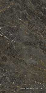 Керамогранит для пола и стены La Faenza Aesthetica AE GOL6 12 RM 60x120 182614