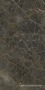 Керамогранит для пола и стены La Faenza Aesthetica AE GOL6 12 RM 60x120 182614