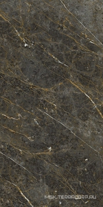 Керамогранит для пола и стены La Faenza Aesthetica AE GOL6 12 RM 60x120 182614