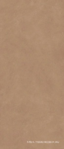 Керамогранит для пола и стены Atlas Concorde Italy Boost Natural  Coral KL 120x278 A67H