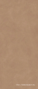 Керамогранит для пола и стены Atlas Concorde Italy Boost Natural  Coral KL 120x278 A67H