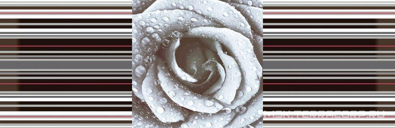 Dec. Rose 02 XX |15x45