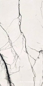 Керамогранит для пола и стены Florim B&W Marble Breach High-Glossy Ret 60X120 766402
