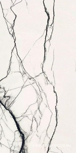 Керамогранит для пола и стены Florim B&W Marble Breach High-Glossy Ret 60X120 766402