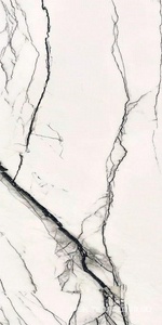 Керамогранит для пола и стены Florim B&W Marble Breach High-Glossy Ret 60X120 766402
