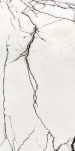 Керамогранит для пола и стены Florim B&W Marble Breach High-Glossy Ret 60X120 766402