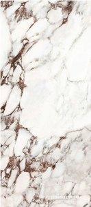 Керамогранит для пола и стены FMAX FMAX  120x270 Bulgari 6 mm glossy 120x270 1227FD16