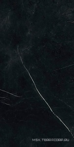 Керамогранит для пола и стены AtlasConcorde Россия FORTE DEI MARMI F.d.M. Elegant B. Rett 60x120 Cer/Ф.Д.М. Элегант Б. Рет 60Х120 Чер 610015000659