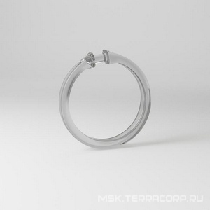 Набор колец шторы для ванной, комплект 12 шт, пластик ZZ Iddis Optima Home RID010P