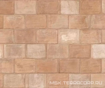 Керамогранит для пола Imola trail18 TCOT EMI18 23 20x30 Розовый 187864