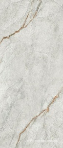 Керамогранит для пола и стены Imola The Room Gre Ro6 278 LP  120x278 188072