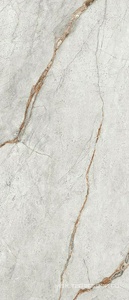 Керамогранит для пола и стены Imola The Room Gre Ro6 278 LP  120x278 188072