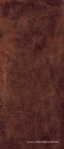 Керамогранит для пола и стены Imola Tube 6 278T RM 120x278 188457