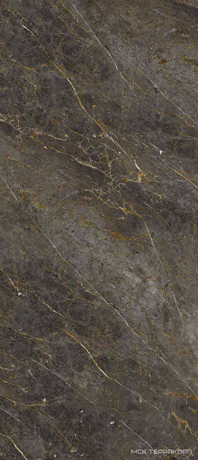 AE GOL6 278 LP   120x278