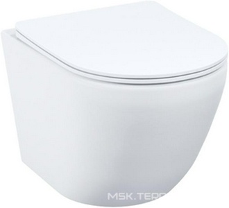 Унитаз подвесной безободковый BLQRDSEI25, 505х430х405 см, крышка-сиденье Soft Close и Easy Fix в комплекте, цв. белый ZZ Iddis Bild BLQRDSEI25