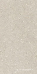 Shellstone Beige 60x120